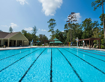 Resort Style Pool